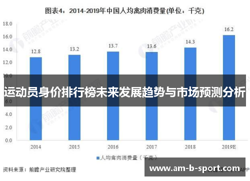 运动员身价排行榜未来发展趋势与市场预测分析 运动员身价排行榜未来发展趋势与市场预测分析