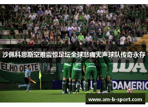 沙佩科恩斯空难震惊足坛全球悲痛无声球队传奇永存