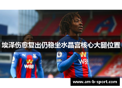 埃泽伤愈复出仍稳坐水晶宫核心大腿位置 埃泽伤愈复出仍稳坐水晶宫核心大腿位置